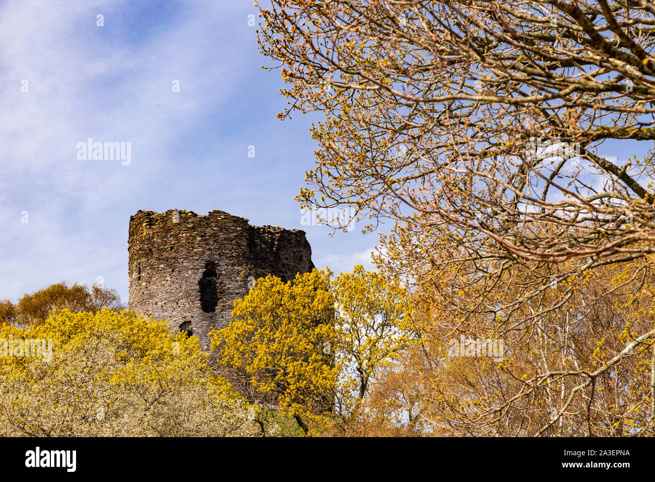 Dolbadarn castle at Llanberis, Snowdonia, North Wales Stock Photo