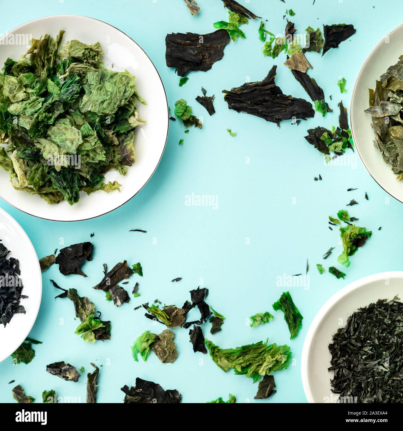 Various dry seaweed, sea vegetables, square overhead shot on a teal background forming a frame with a place for text Stock Photo