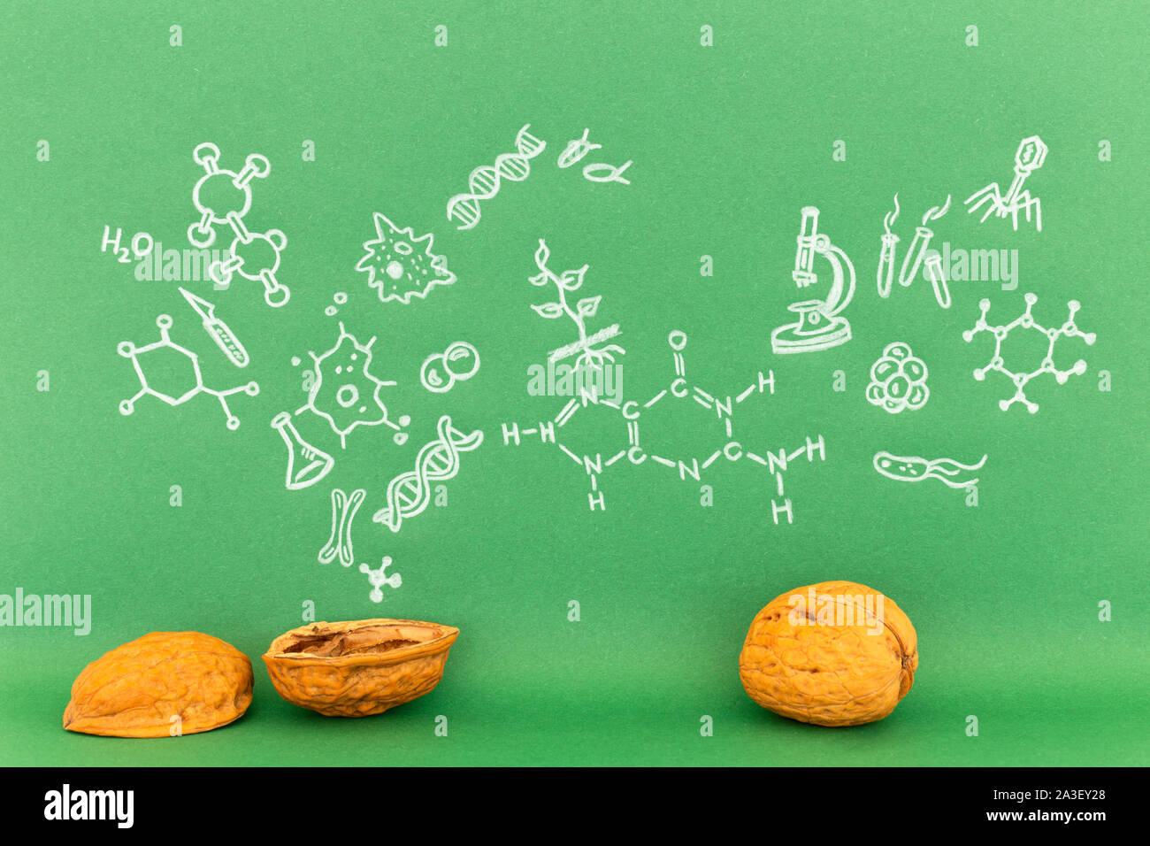 Concept of the phrase biology in a nutshell. Biological formulas and ...