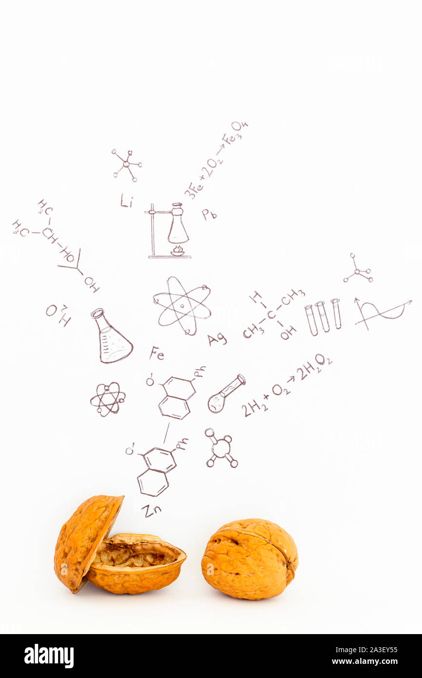 Concept of the phrase chemistry in a nutshell. Chemical formulas and symbols drawn on white paper with walnuts Stock Photo