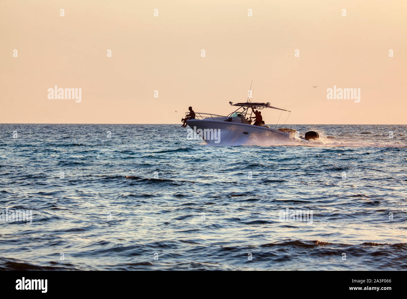 Fisherman in speed boat hi-res stock photography and images - Alamy