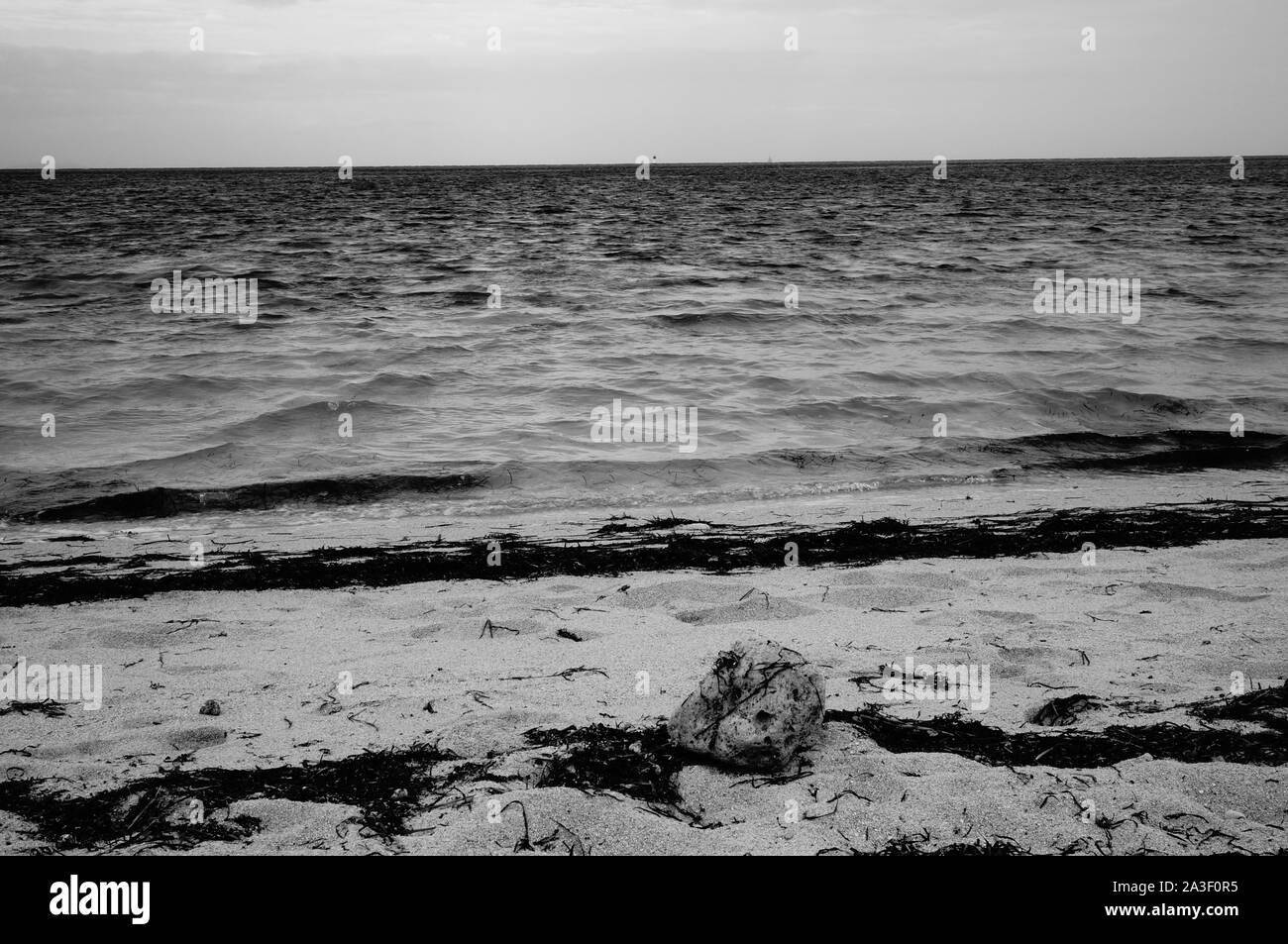 500px Photo ID: 75779575 - Ilot Maître. Nouvelle-CalédoniePhoto noir et blanc, sans aucune retouche.   Ilot Maître. New-Caledonia. In black and white, Stock Photo