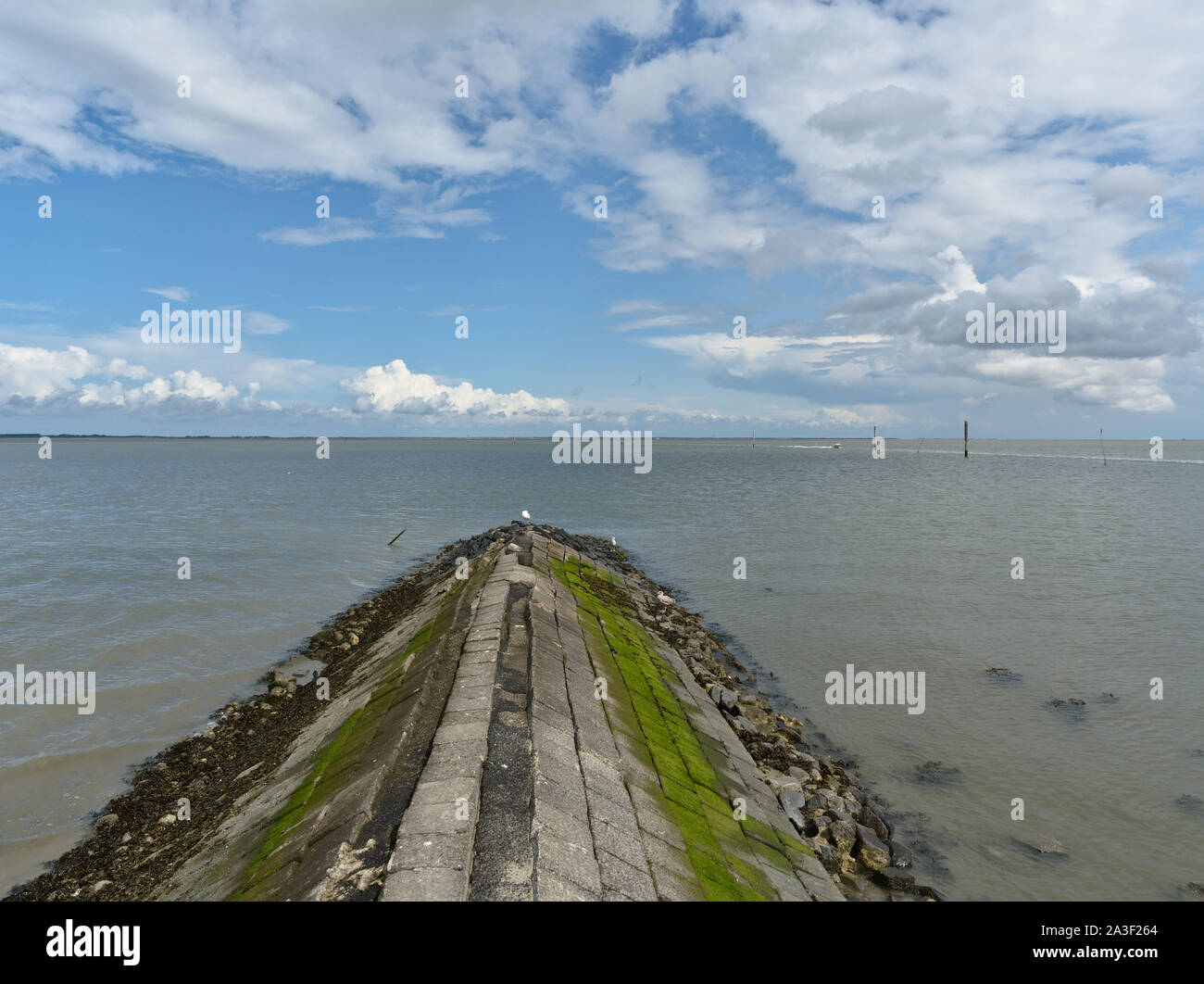 View over a groyne (groin) and the north sea in northern germany / east frisia Stock Photo