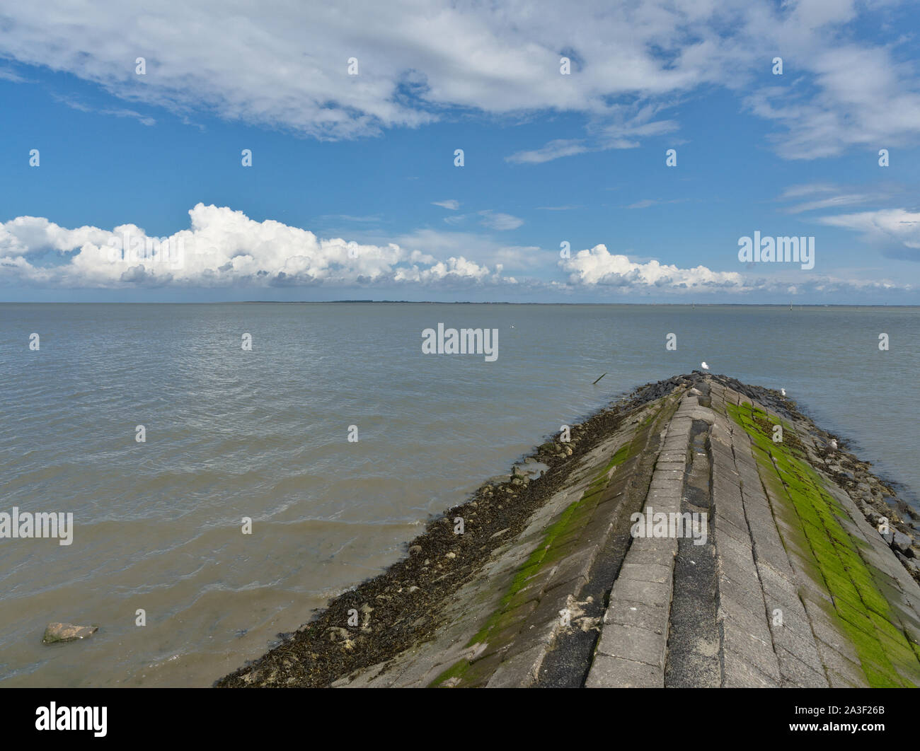 View over a groyne (groin) and the north sea in northern germany / east frisia Stock Photo