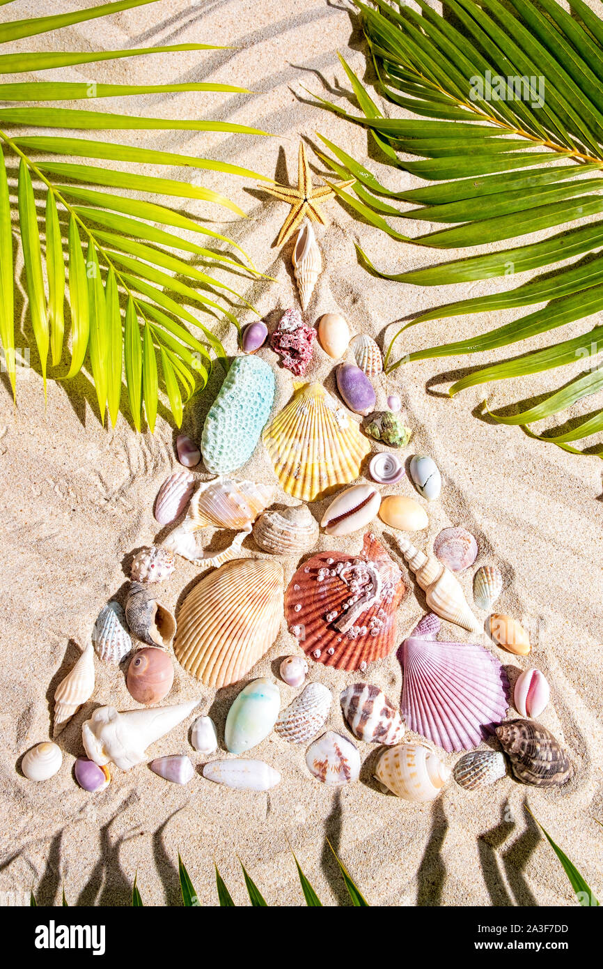 Christmas beach background with a creative arrangement of seashells