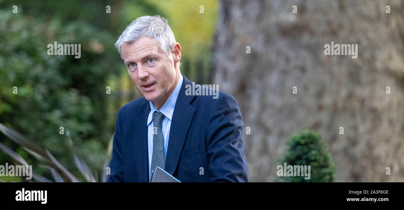 London UK 8th Oct. 2019,  Zac Goldsmith arrives at a Cabinet meeting at 10 Downing Street, London Credit Ian Davidson/Alamy Live News Stock Photo
