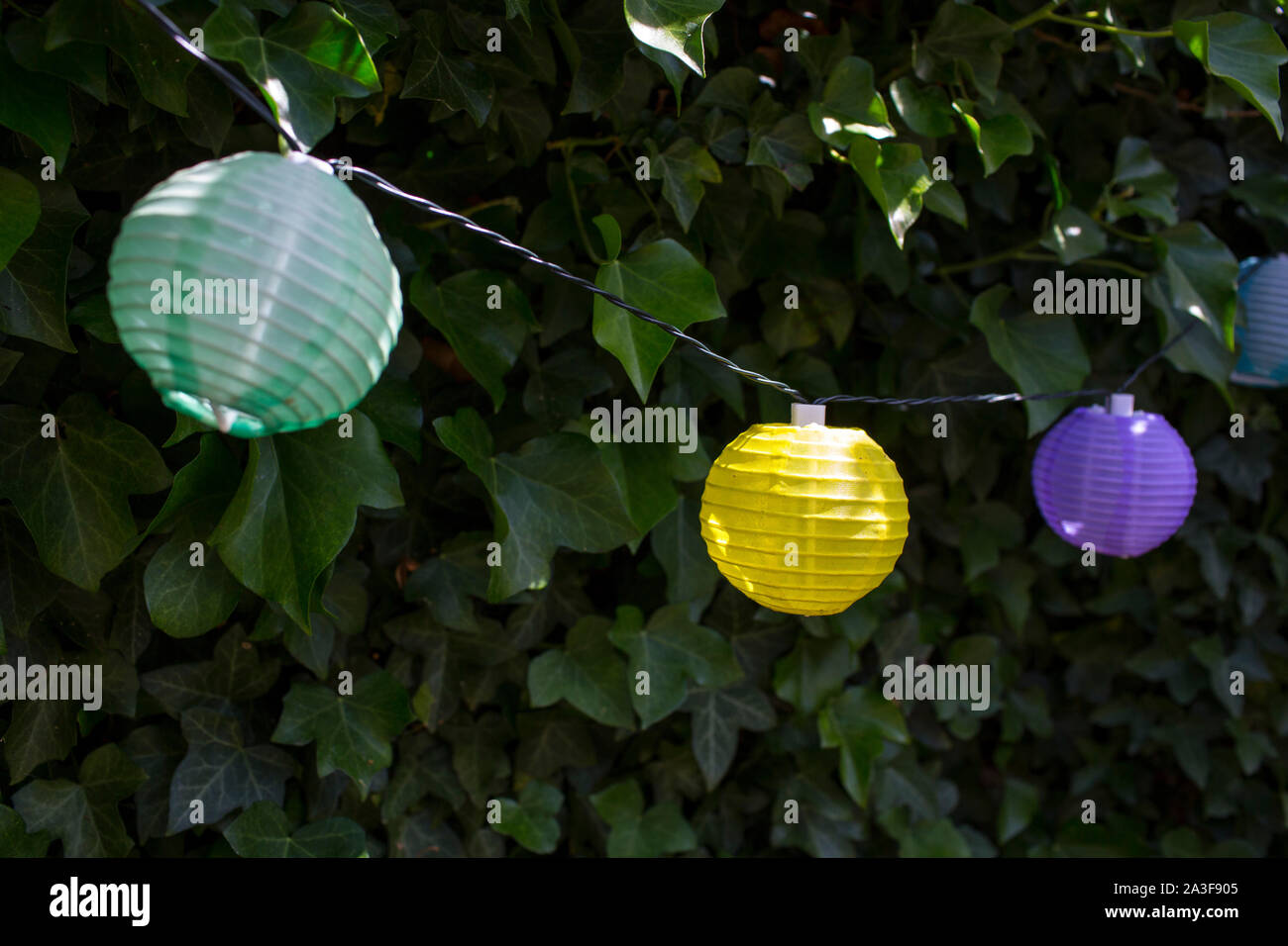 garden paper lantern lights