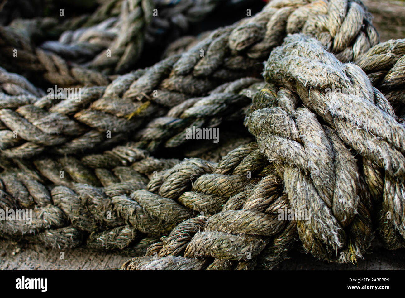 Close up of thick large rope Stock Photo