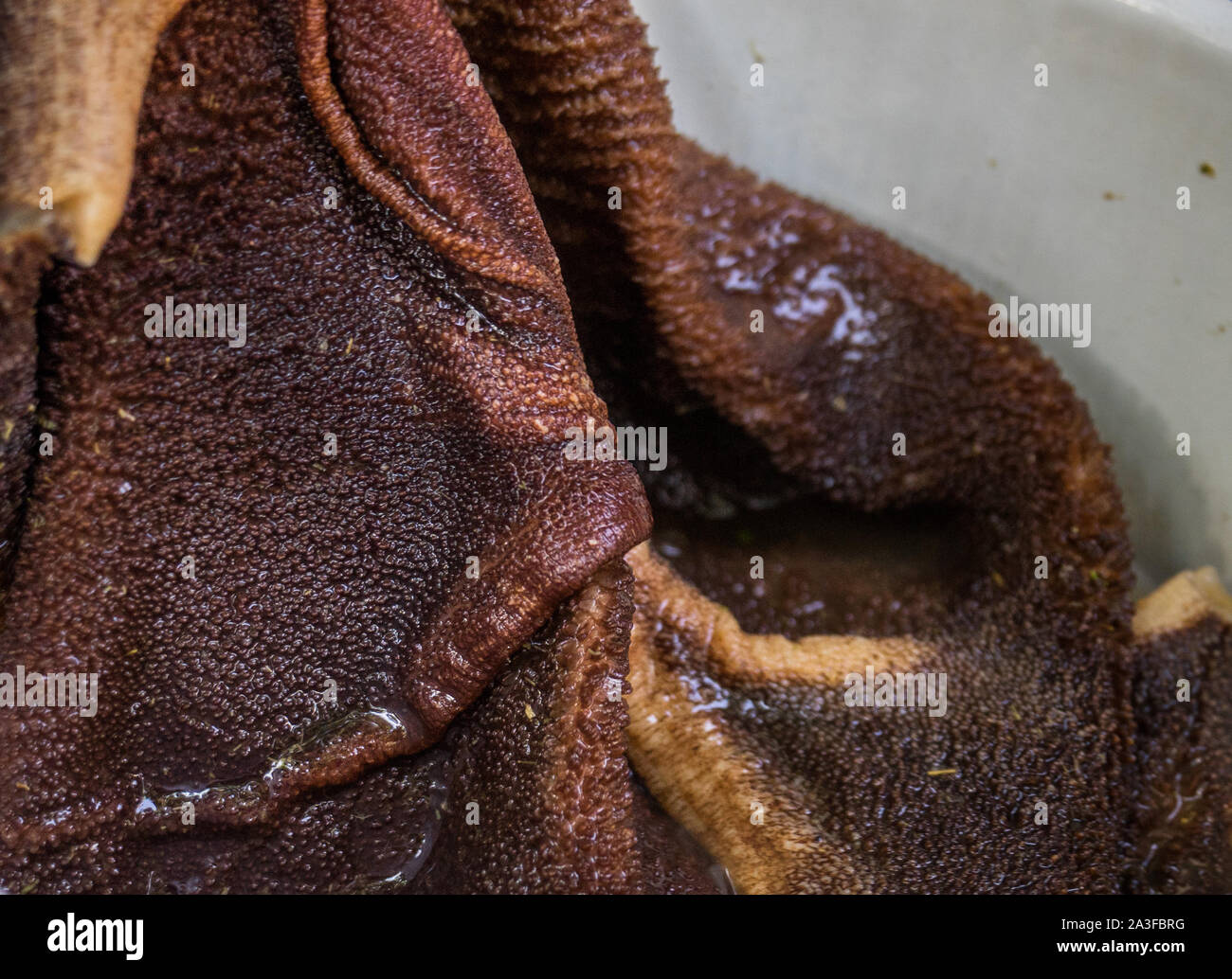 Innard hi res stock photography and images Alamy