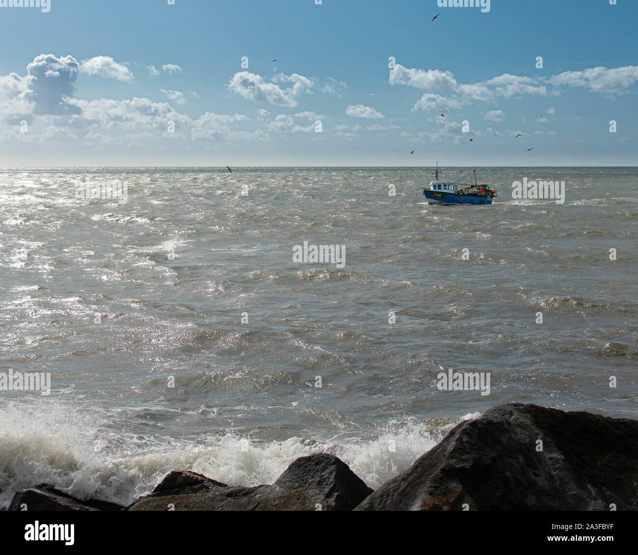 My Image 22