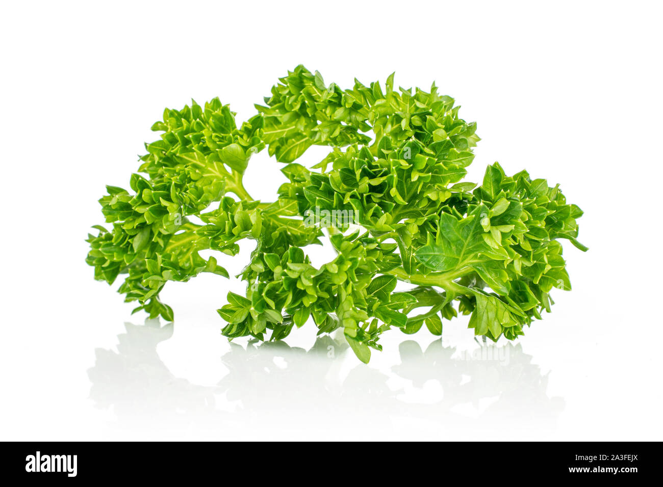 One whole fresh green parsley isolated on white background Stock Photo ...