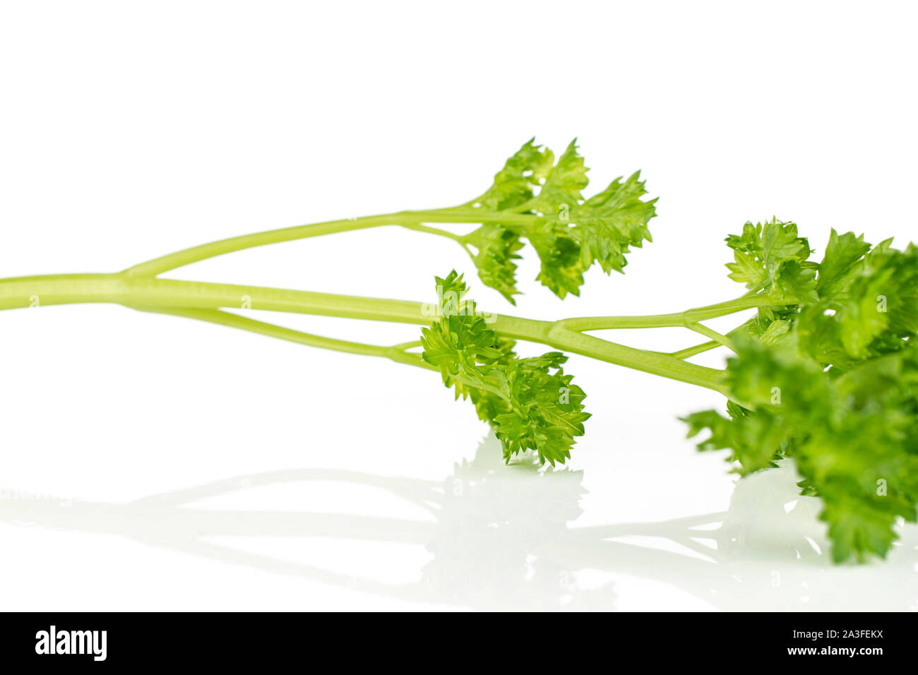 Fresh green parsley isolated on white background Stock Photo - Alamy