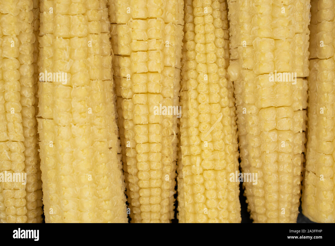 Lot of whole baby yellow corn flatlay Stock Photo