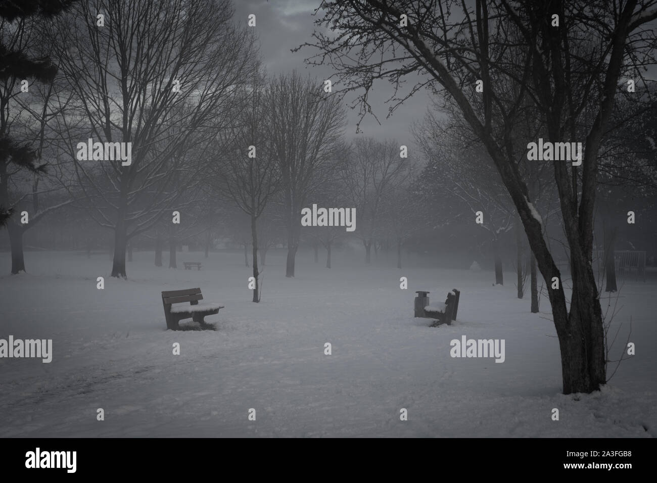 Benches park hi-res stock photography and images - Alamy