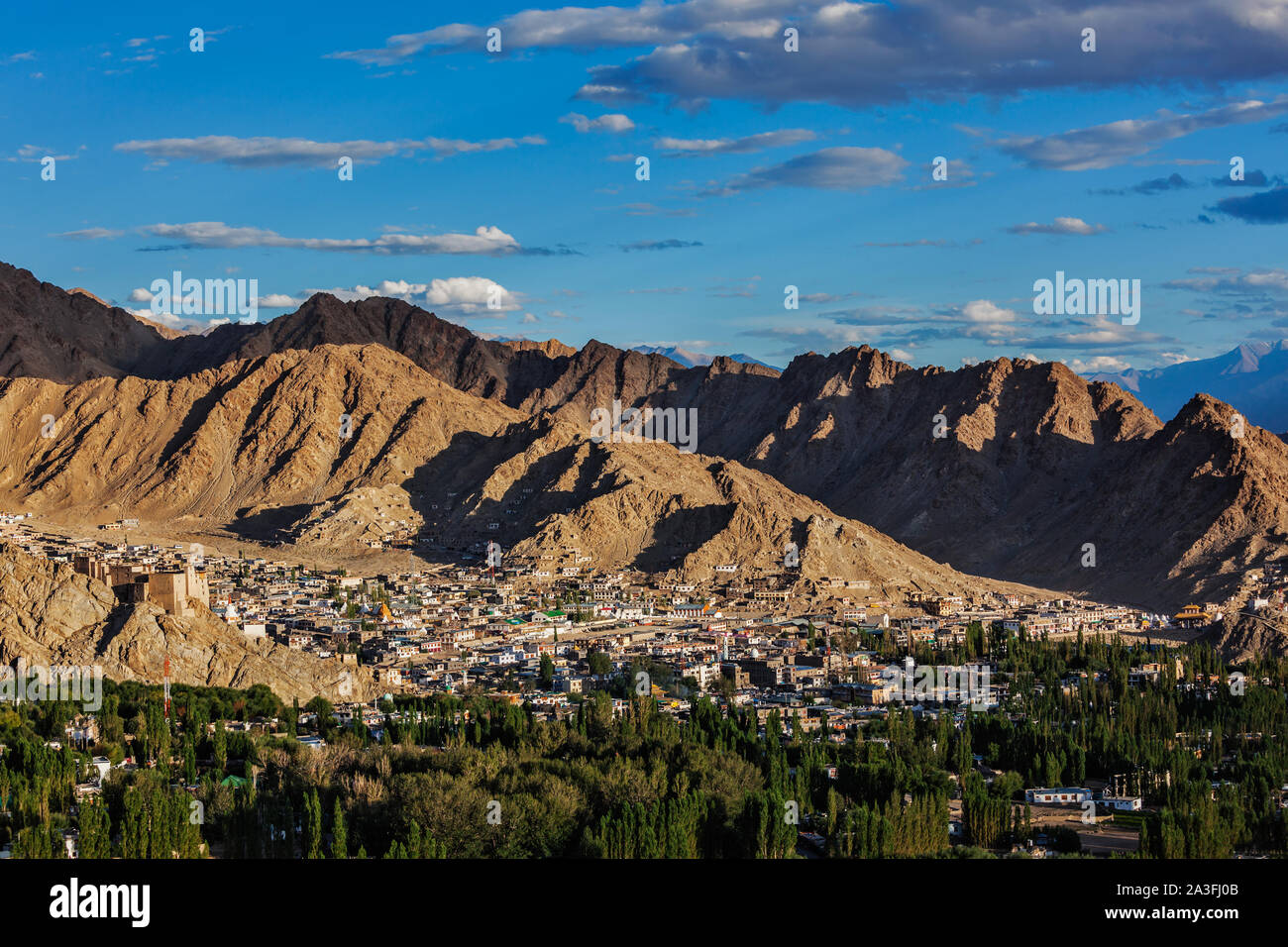 View of Leh, India Stock Photo