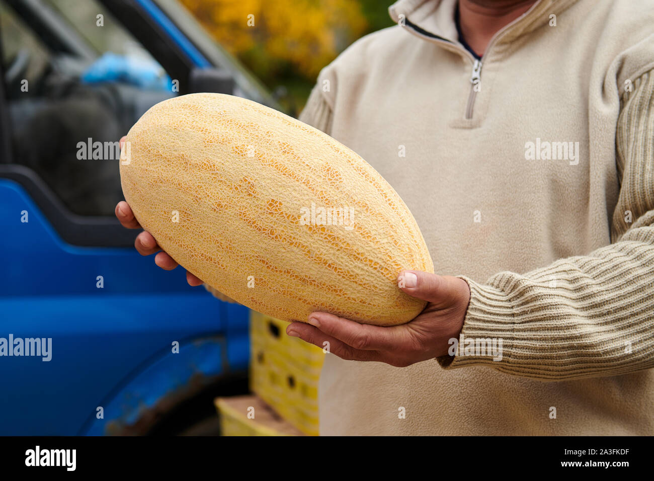 Oval melon hi-res stock photography and images - Alamy