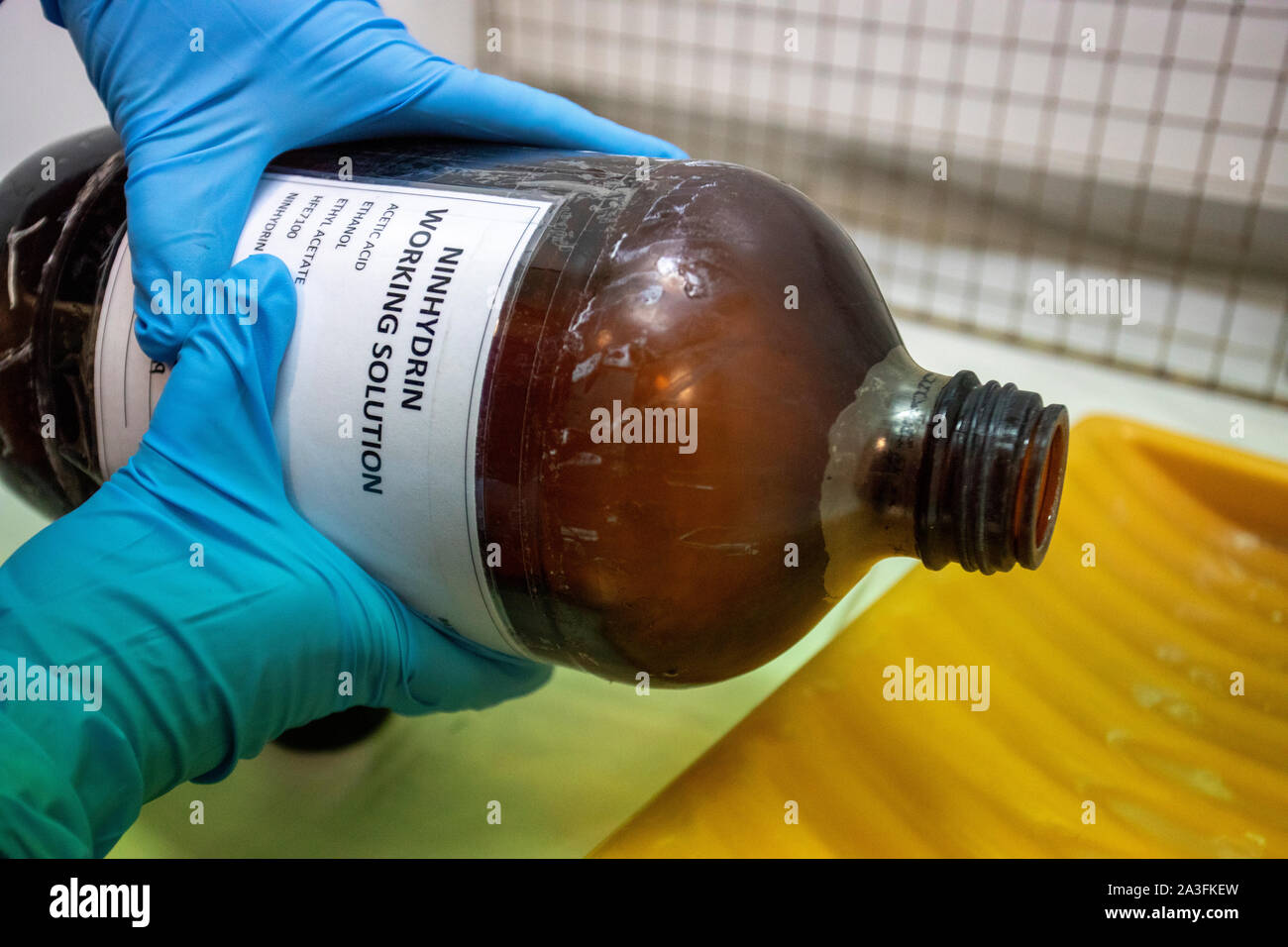 Ninhydrin being poured into a dip tray ready for the forensic examination of paper or porous surfaces at a Forensic Lab in the UK Stock Photo