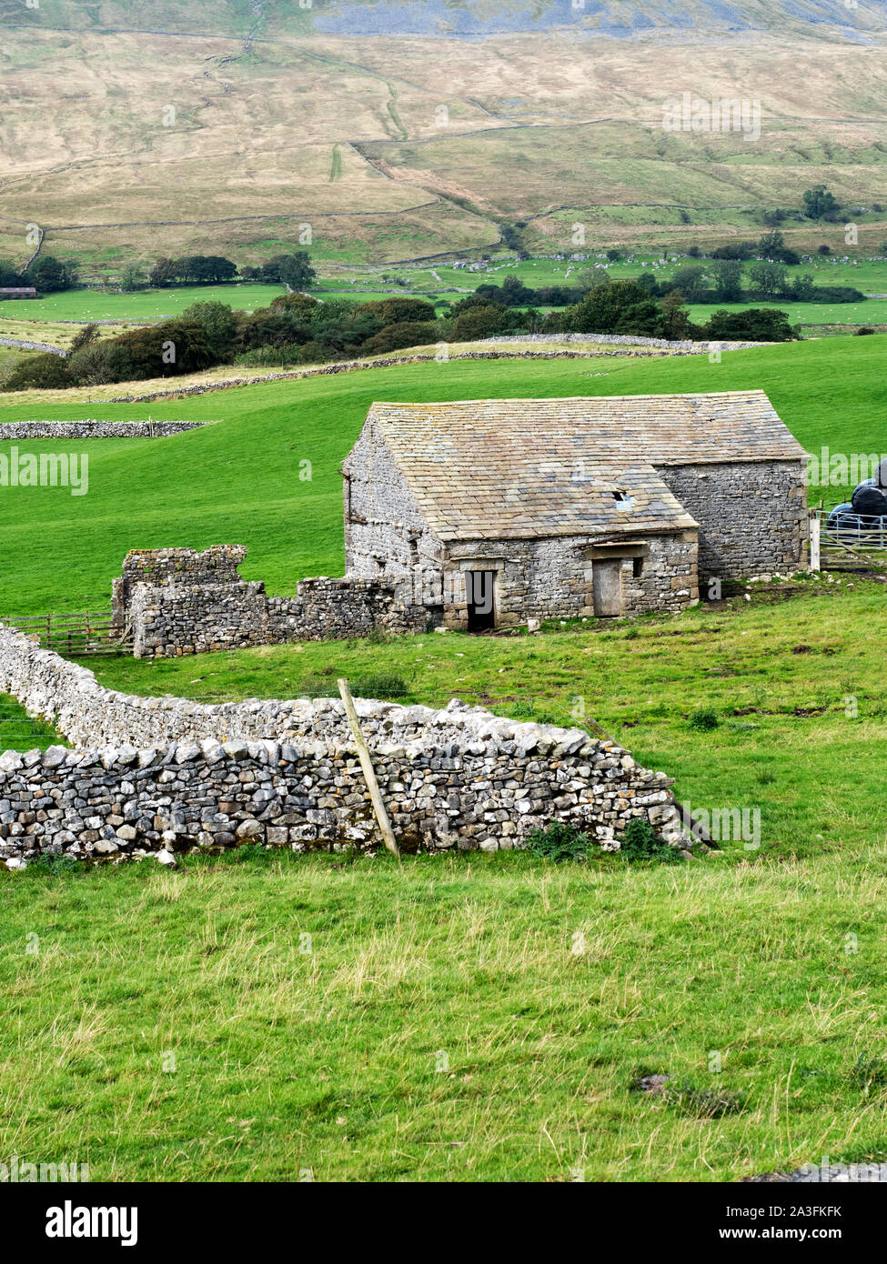 Dry Stone Wall And Field Barn At Ribblehead Yorkshire Dales