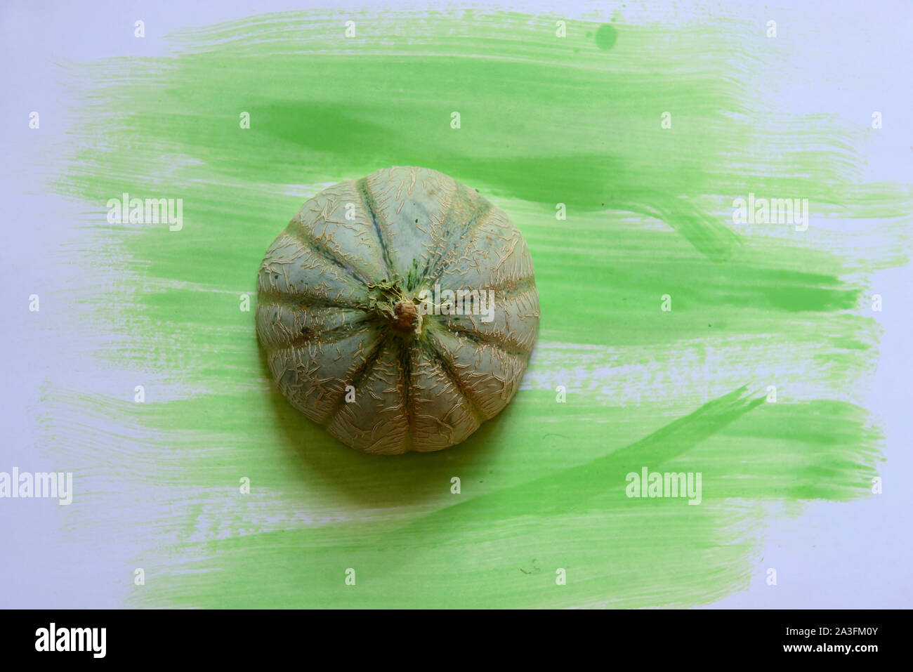 Cantaloupe on white-green background.Food concept Stock Photo