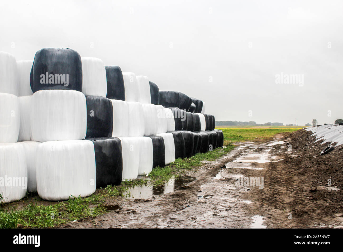Round silage bales wrapped in a black and white membrane and laid like a pyramid. Food for cows. Dirt road,silo in the pit and field.Podlasie, Poland. Stock Photo