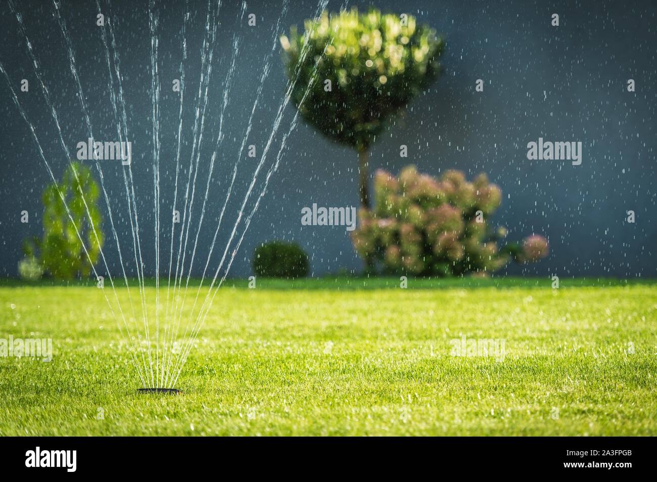 Water Garden Sprinkler. Backyard Lawn Watering Using Underground Grass Irrigation System Stock