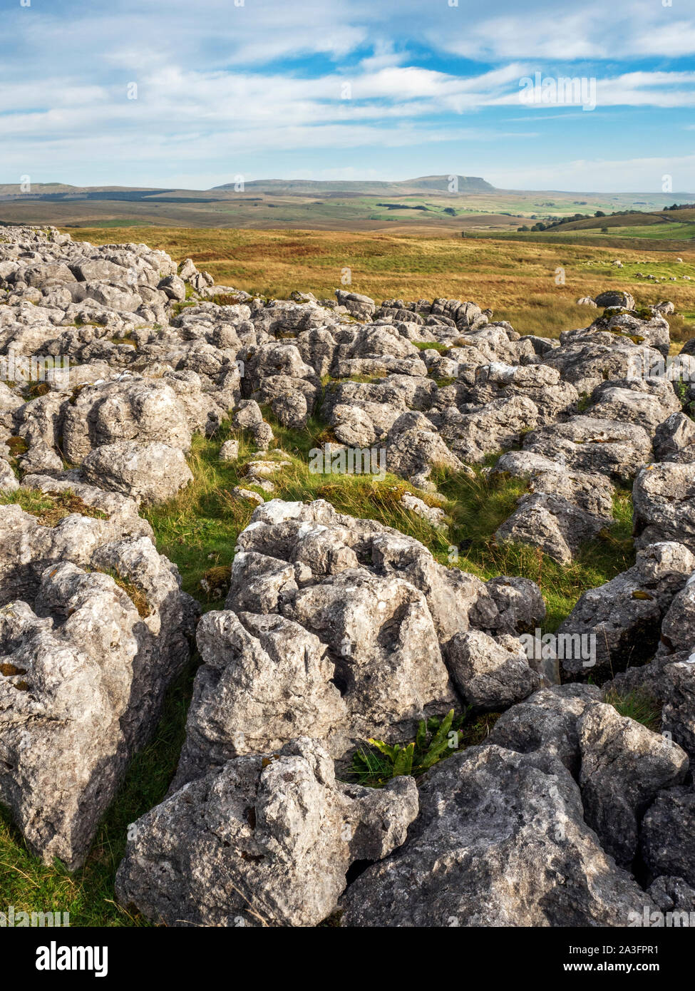 Limestone pavement at Ribblehead with Pen y Ghent hill in the distance