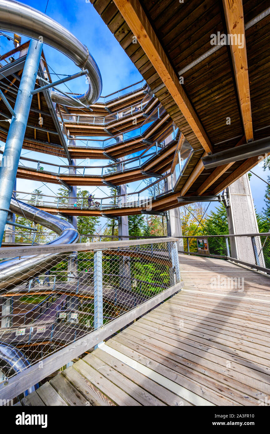 Treetop walk in Black Forest with 40m high Lookout tower with