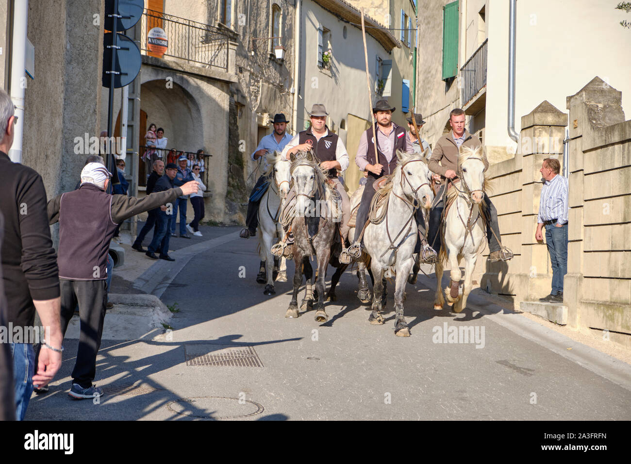 Camargue bull race through the street of Gallargues-le-Montueux with cowboys (bandido) leading the bull down hill with locals cheering Stock Photo