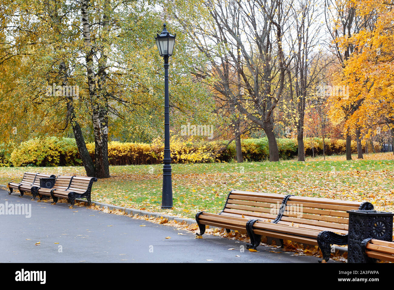 City park in the fall. Benches in the autumn park. Autumn landscape. Warm peaceful day in the autumn park. Nobody here. Autumn card. Stock Photo