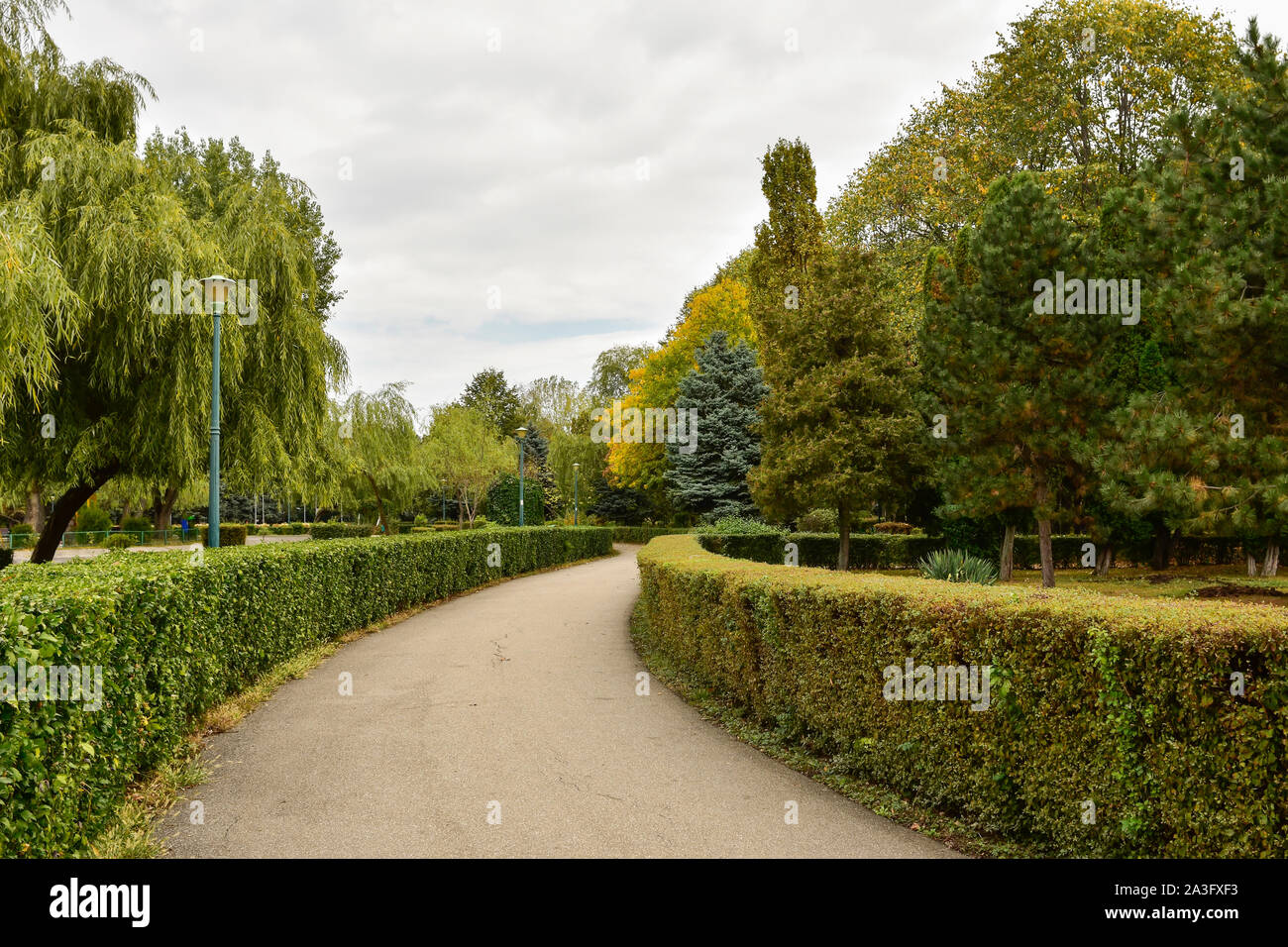 Recreational park alley of a park with the trees in autumn colors , Ploiesti City, Romania Stock Photo