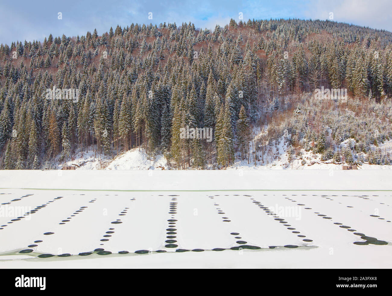 Tall conifer trees in lake hi-res stock photography and images - Alamy
