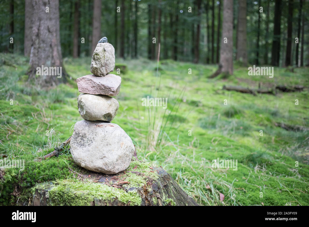 stone tower in green forest Stock Photo