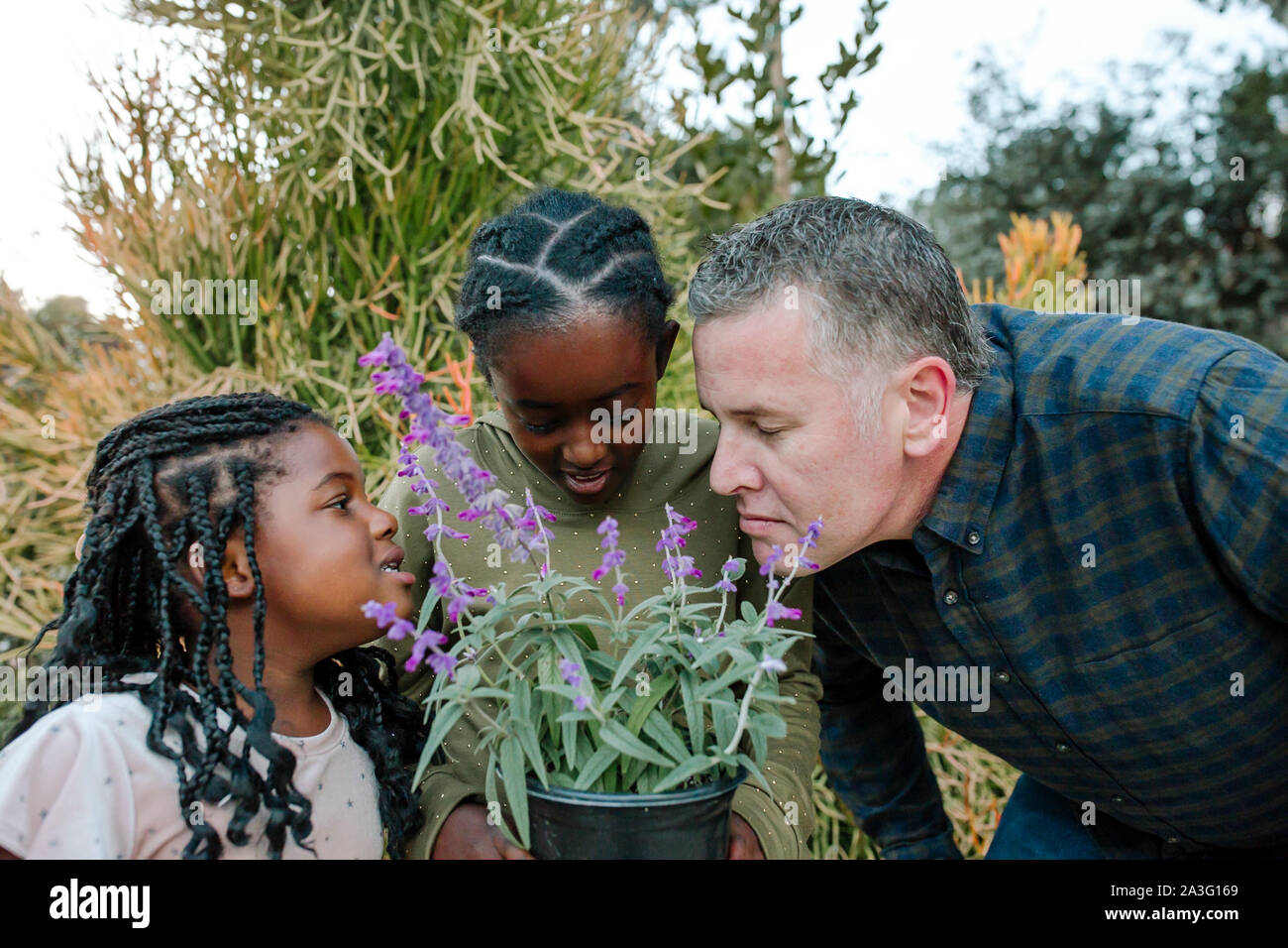 White dad and black daughters smelling purple flowers Stock Photo