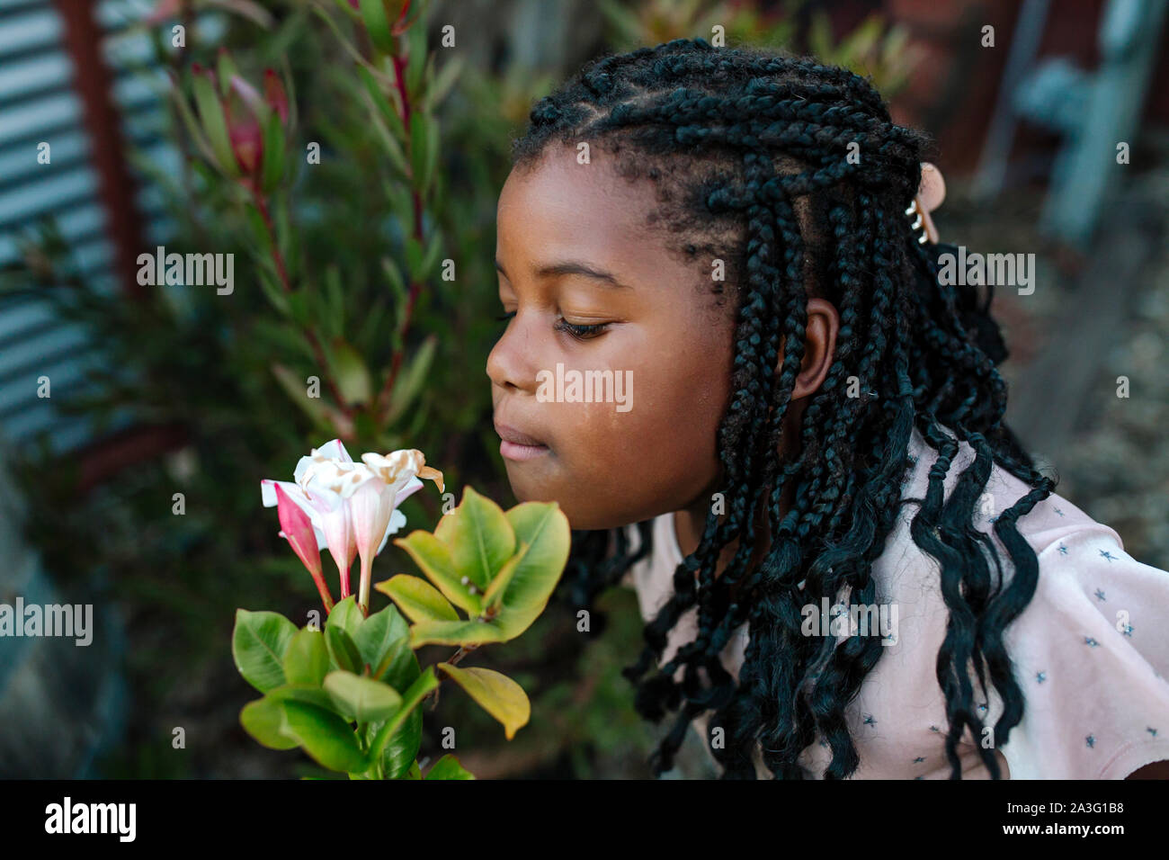 Young Black Girl In Pink With Long Braids Discovers Garden Flowers