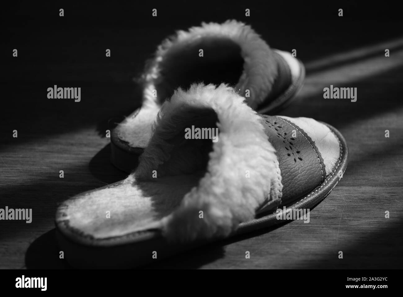 Women's slippers with a sheepskin on a wooden floor. Black and white photo. Stock Photo
