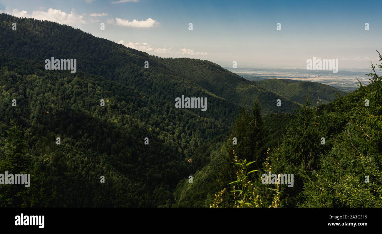 Scenic aerial view of isolated house in the woods, Carpathian mountains
