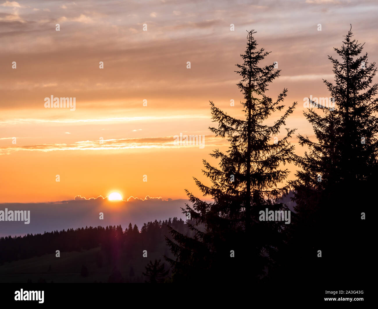 Sunset in the Black Forest Stock Photo - Alamy