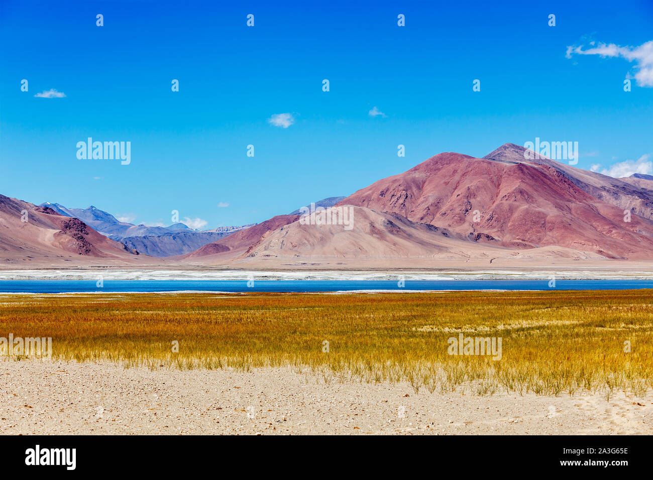Salt lake Tso Kar in Himalayas, Ladakh Stock Photo