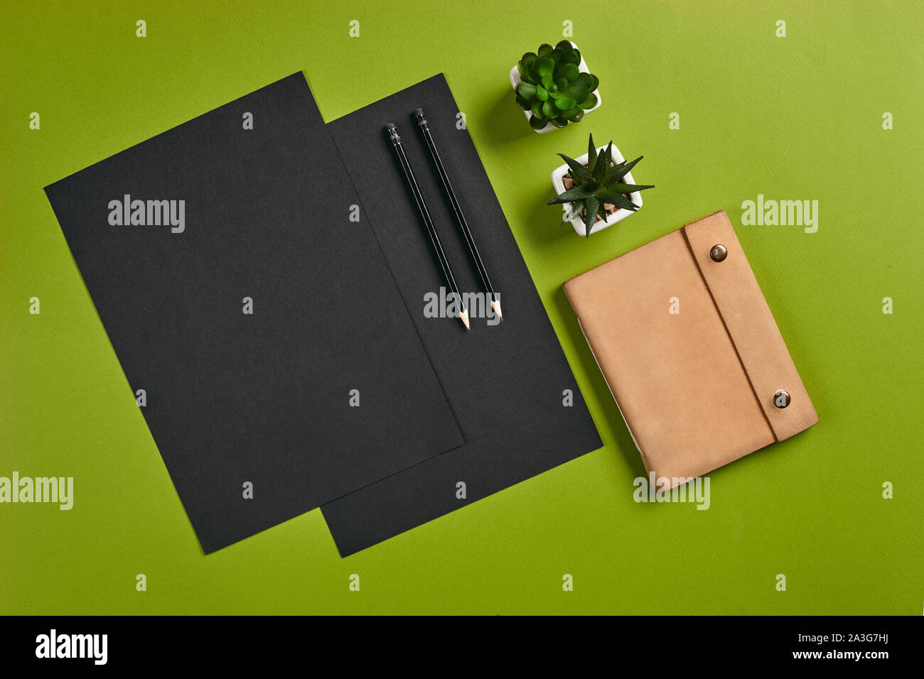 Sheets of black paper, pencils, pencil case and plants in pots on green background with copy space. Education, workplace concept. Top view in focus wi Stock Photo