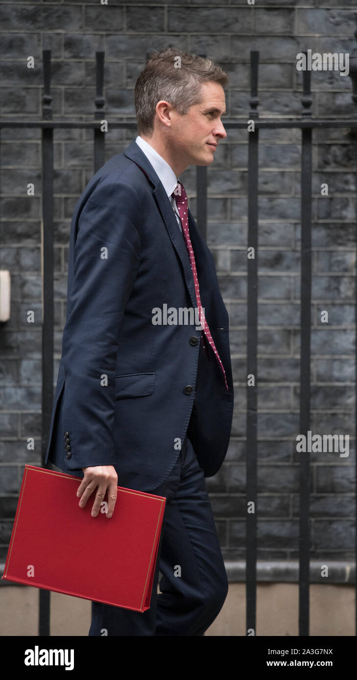 Downing Street, London, UK. 8th October 2019. Gavin Williamson, Secretary of State for Education, in Downing Street for weekly cabinet meeting. Credit: Malcolm Park/Alamy Live News. Stock Photo