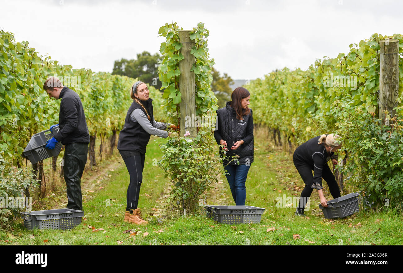 Ridgeview vineyard uk hires stock photography and images Alamy