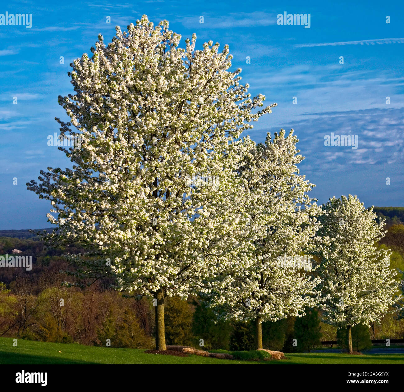 Chester County Stock Photos & Chester County Stock Images Alamy