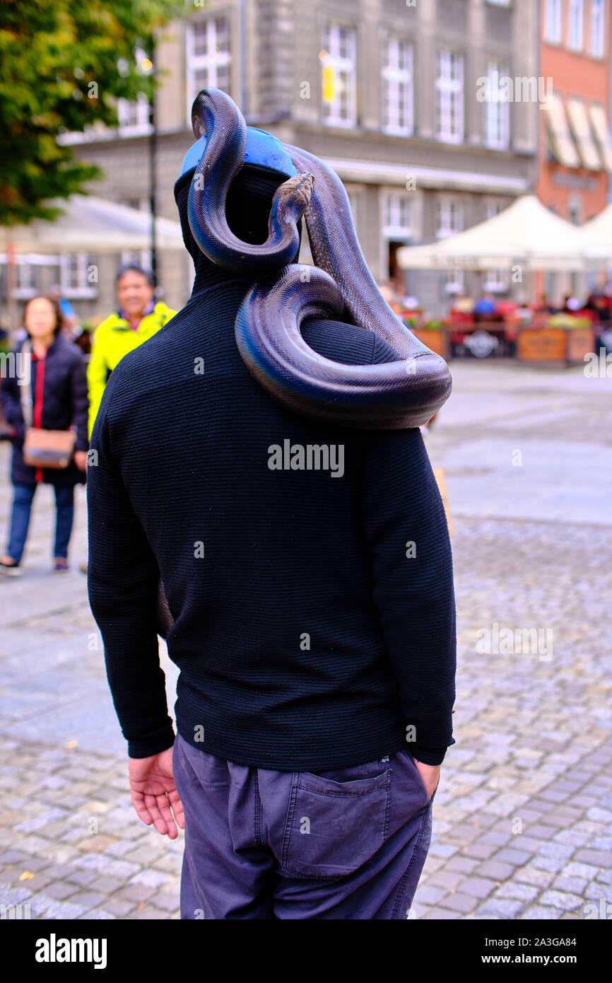 man with python snake - Impressions from Gdańsk (Danzig in German) a port  city on the Baltic coast of Poland Stock Photo - Alamy
