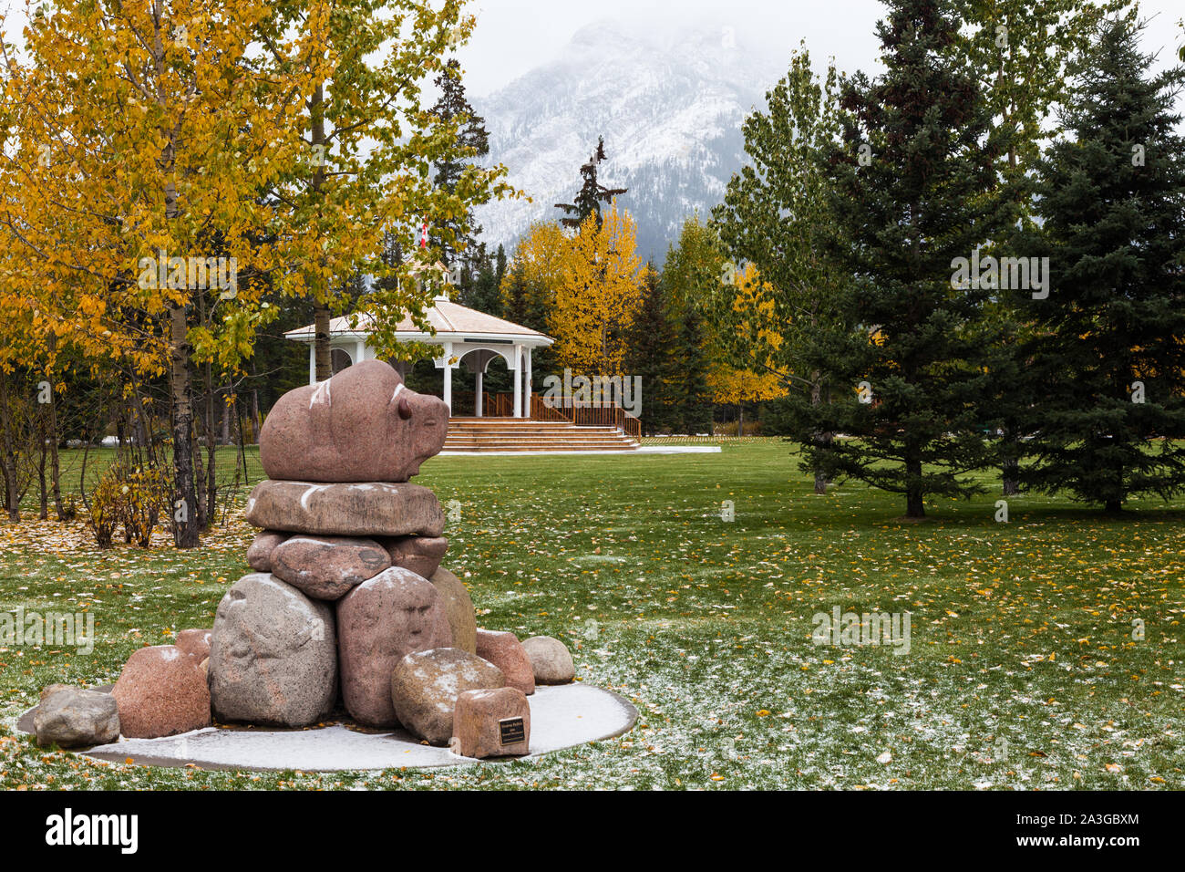 Sleeping buffalo hires stock photography and images Alamy