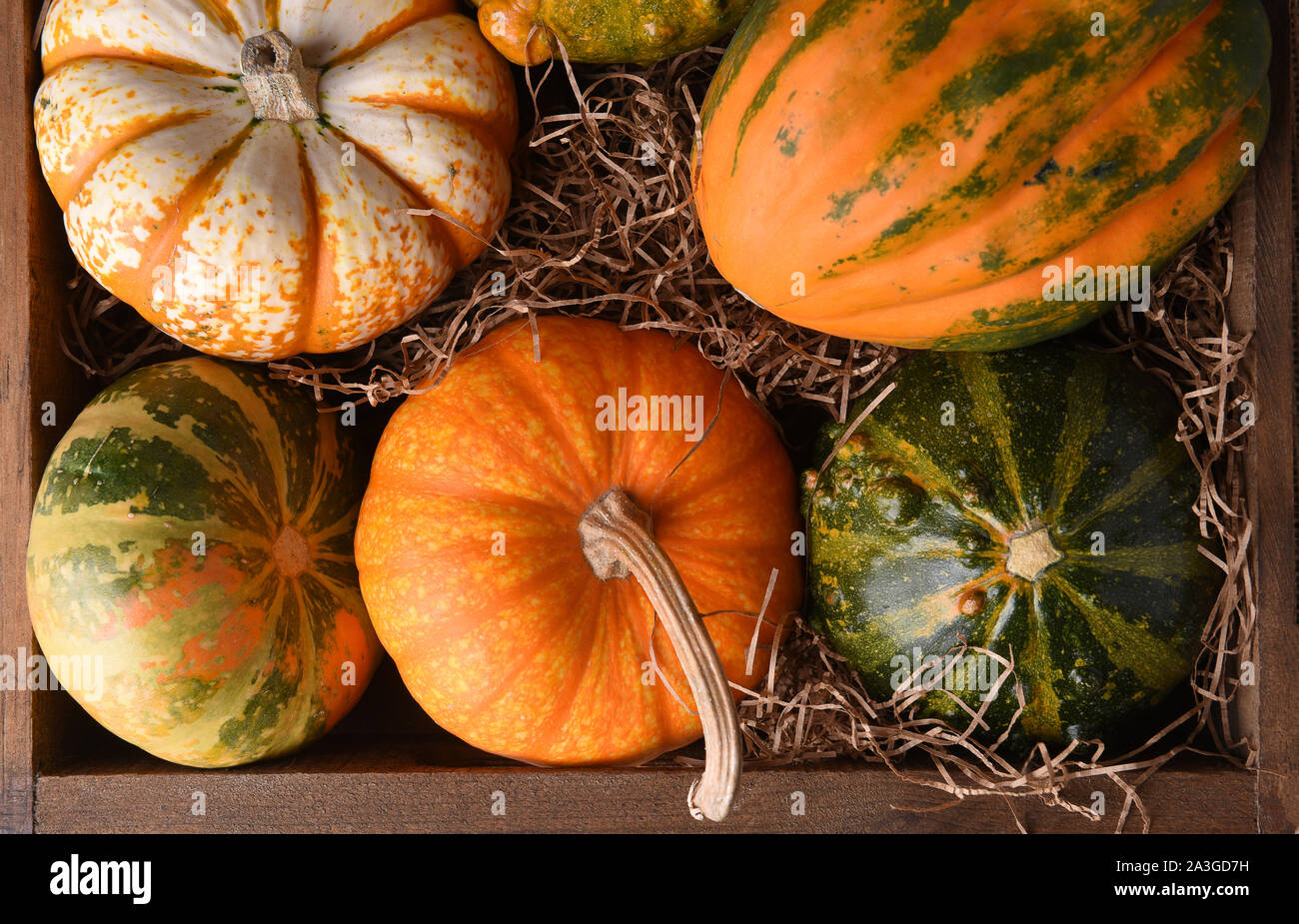 High angle closeup shot of a group of autumn gourds, squash and pumpkins in a wood box.. Stock Photo