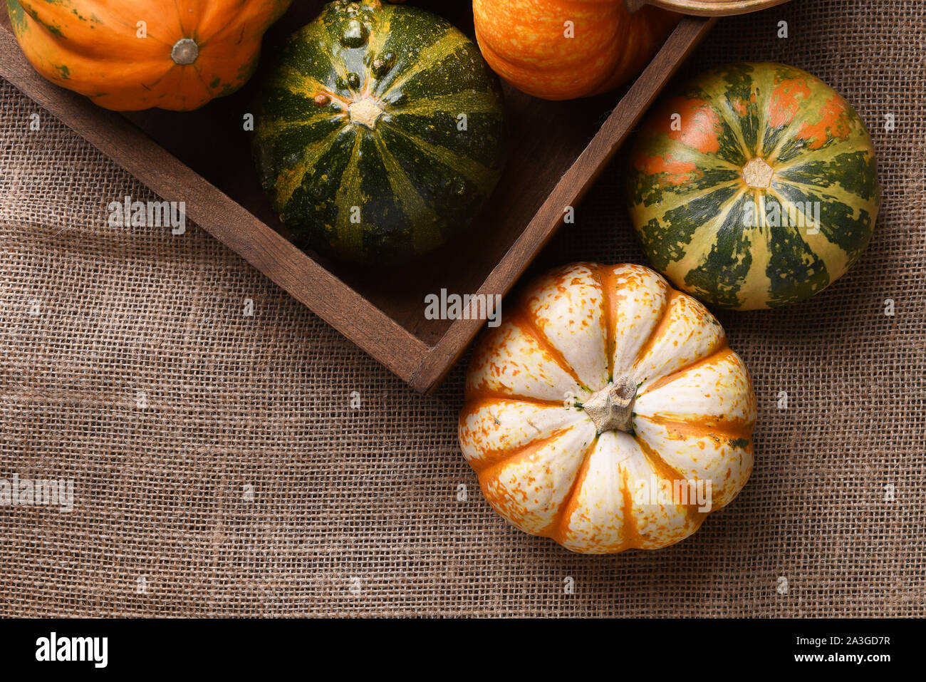 High angle shot of a group of autumn gourds, squash and pumpkins in a wood box on burlap. Stock Photo