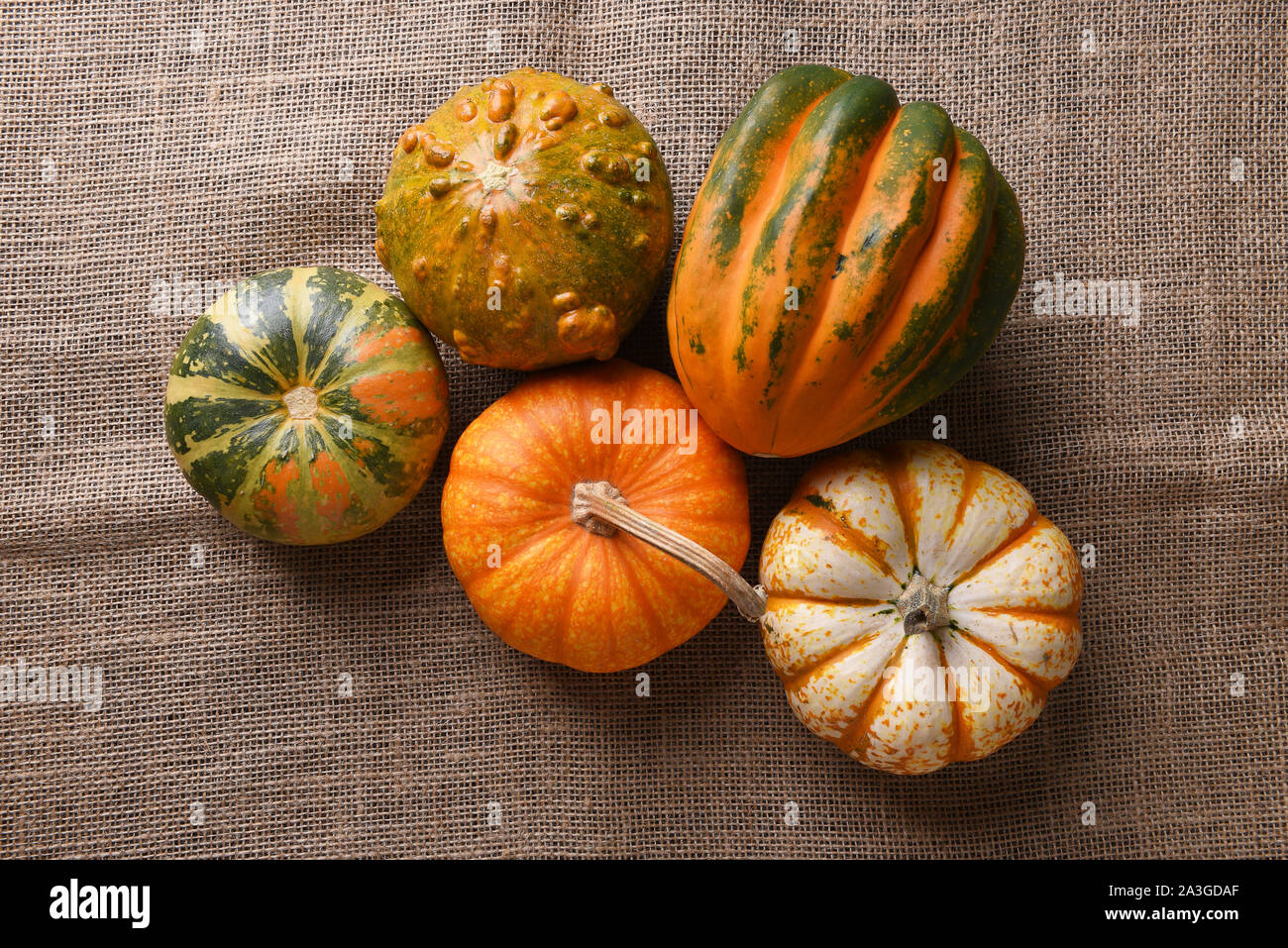 High angle shot of a group of autumn gourds, squash and pumpkins on burlap. Stock Photo