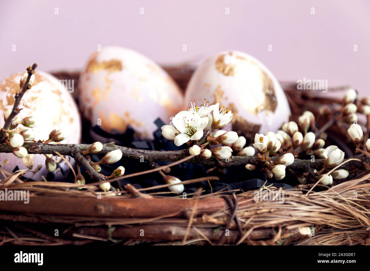 Gold foiled painted easter eggs in a nest, decorated with a cherry blossom branch. Stock Photo