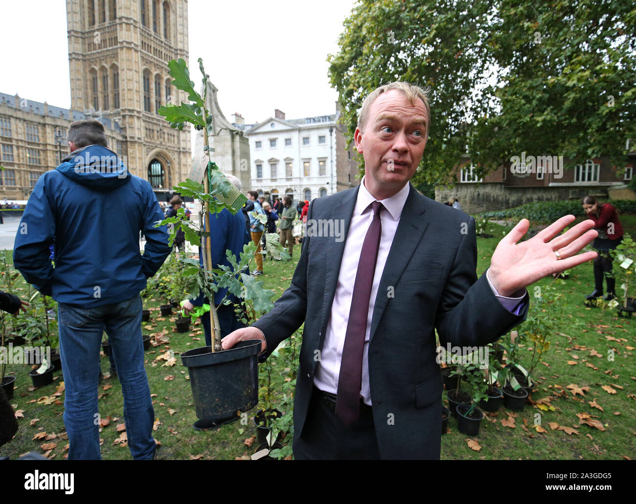 Liberal Democrat MP, Tim Farron, near Old Palace Yard outside Parliament, holding a sapling, amongst those placed by protesters, during an Extinction Rebellion (XR) protest in Westminster, London. Stock Photo