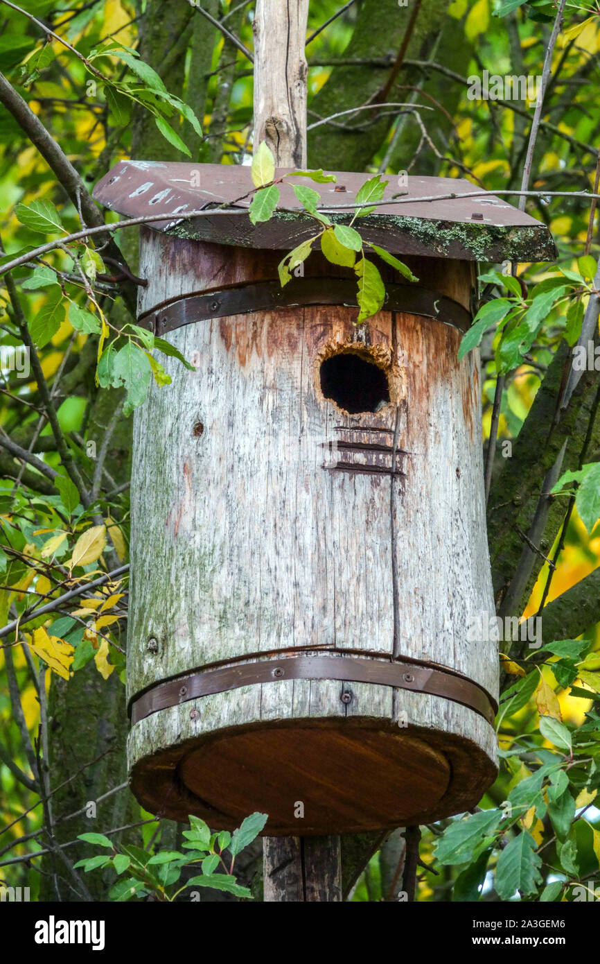 Wooden birdhouse garden Stock Photo